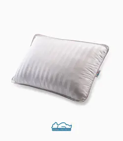 بالش Pillowa سویا