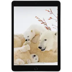 آیپد اپل مدل iPad (9th Generation) 10.2-Inch Wi-Fi (2021) ظرفیت 64 گیگابایت