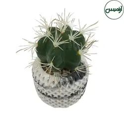 کاکتوس مصنوعی تیغ تیغی