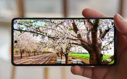 Xiaomi Redmi Note 12 Pro Plus 5G (22101316UG) 256/12GB