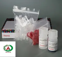 کیت سنجش آلبومین ( Albumin)