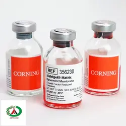 ماتریژل برند کورنینگ