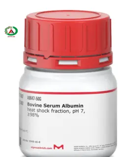 بووین سرم آلبومین (Bovine Serum Albumin)