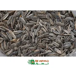 تخمه افتاب گردان