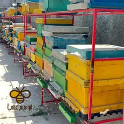 پیش‌فروش کندوهای هفت‌قابی بوکفست