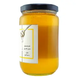 عسل گشنیز 500 گرمی