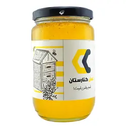 عسل چندگیاه‌کوهستان 500 گرمی