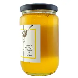 عسل چندگیاه‌کوهستان 500 گرمی