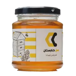 عسل اکالیپتوس 350 گرمی