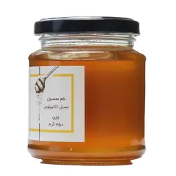 عسل اکالیپتوس 350 گرمی