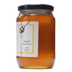 عسل اکالیپتوس 500 گرمی