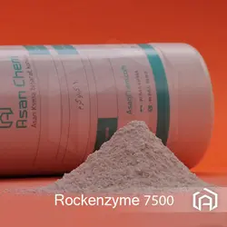آنزیم پروتئاز قلیایی 7500L - آسان کم | آنزیم | آنزیم پروتئاز | آنزیم قلیایی | Enzyme