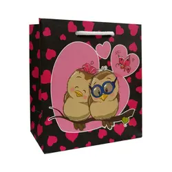 پاکت هدیه کد 1044 بسته 2 عددی