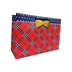 پاکت هدیه کد 1030 بسته 2 عددی