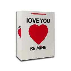 پاکت هدیه کد 1101 بسته 2 عددی