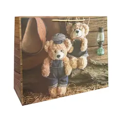 پاکت هدیه کد 1068 بسته 2 عددی