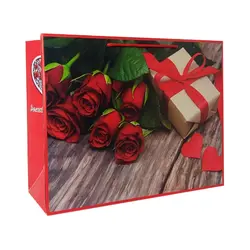 پاکت هدیه کد 1114 بسته 2 عددی