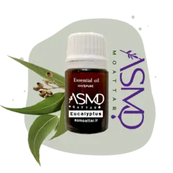 اسنشیال اویل اکالیپتوس | اسانس طبیعی اکالیپتوس