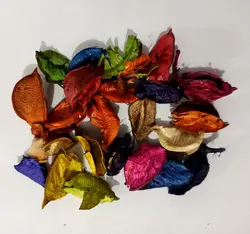 گلبرگ خشک رنگی