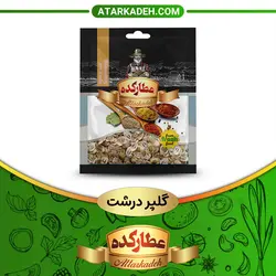 گلپر درشت