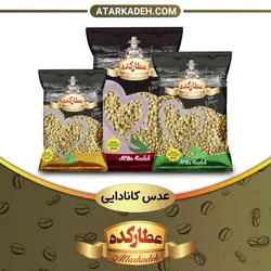 عدس کانادایی