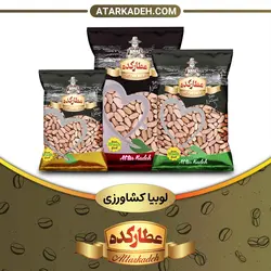 لوبیا کشاورزی