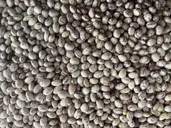 لوبیا چیتی آتاتاتی 800 گرمی (10 عددی)