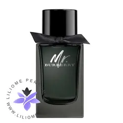 تستر اورجینال عطر مستر باربری ادو پرفیوم | Burberry Mr. Burberry EDP Tester