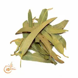 برگ اکالیپتوس