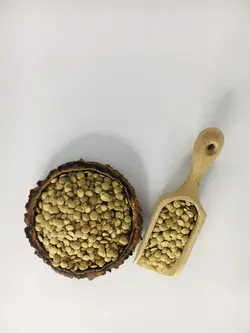 عدس سبز درشت