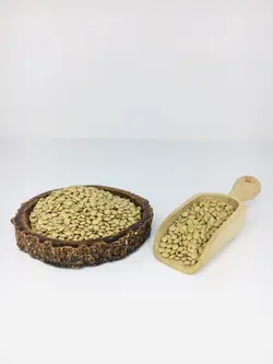 عدس سبز ریز
