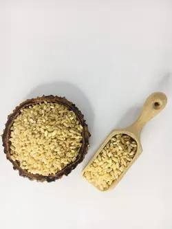 گندم