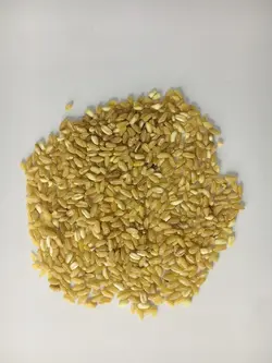 گندم