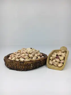 لوبیا
