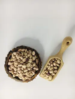 لوبیا