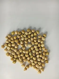 نخود