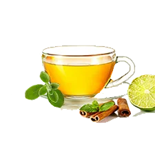 دمنوش آویشن کوهی | بسته 100 گرمی | گل سرخ - فروشگاه آنلاین