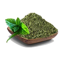 نعنای وحشی | 100 گرم | عطاری گل سرخ - فروشگاه آنلاین