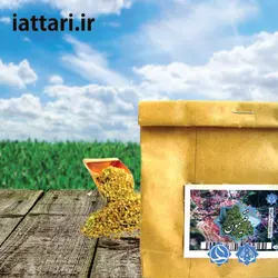 افتیمون