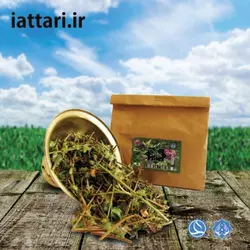 بادرنجبویه