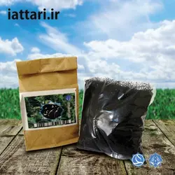 تخم شربتی (100 گرمی)