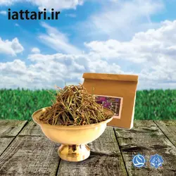 خارشتر، کد 166