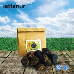 عنبر نسارا