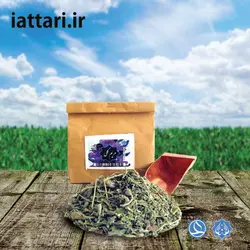 مریم گلی