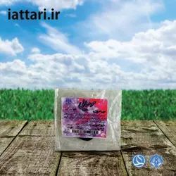 مومیایی