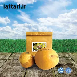 هندوانه ابوجهل(حنظل)
