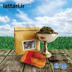 کاکوتی