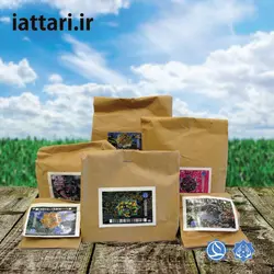 کد 162 ( درد ناحیه باد فتق، سیاه کردن موهای سفید در بلغمی مزاجان )