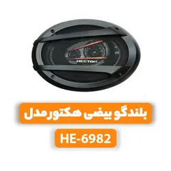 بلندگو بیضی هکتور مدل HE-6982speaker Hector model HE-6982