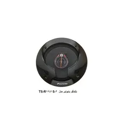 بلندگو گرد پایونیر مدل 2-TS-R1651SPioneer speaker model 2-TS-R1651S